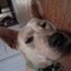 Amy Kunz Photo 26