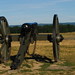 Alonzo Cannon Photo 4