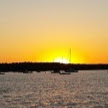 Donna Wingate Photo 32