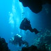 Jack Fish Photo 26