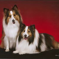 Sheri Welch Photo 13