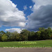 Christine Greaves Photo 19