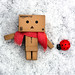 Debbie Hickey Photo 13