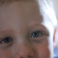 David Mccaffrey Photo 37