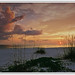 Anna Maria Photo 36