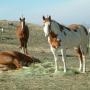 Richard Comstock Photo 36