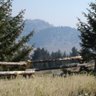 Lynne Simpson Photo 14