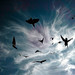 Edgar Storm Photo 6