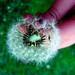 Janis Reed Photo 29