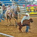 Al Roper Photo 10