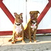 Dixie Roberts Photo 22