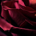 Robert Valentine Photo 14