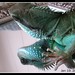 Richard Dragon Photo 30