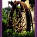Fred Mills Photo 11