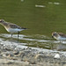 Robert Baird Photo 35