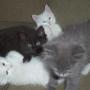 Sue Browning Photo 20