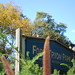 Heather Parks Photo 14