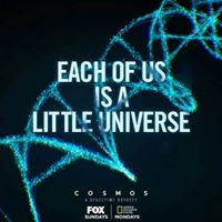 Cordova Mercado Photo 7