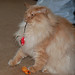 George Hunter Photo 14