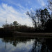 Brad Langley Photo 27