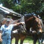 Gerald Creamer Photo 9