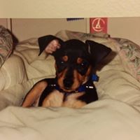 Scott Wachs Photo 5