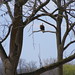 Catherine Eagles Photo 4