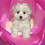 Karen Brunner Photo 28