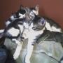 Dana Girard Photo 15