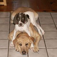Mary Shirey Photo 24