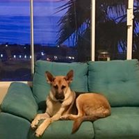Marla Wolfe Photo 18