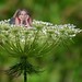 Tina Bloom Photo 34