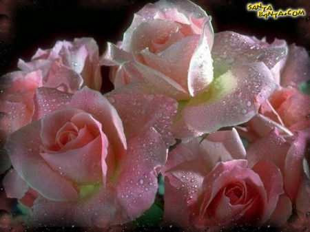 Rebeca Gonzalez Photo 31
