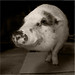 Jeanne Olson Photo 14