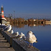 James Whalen Photo 28