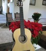 David Trinh Photo 11