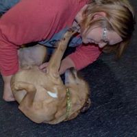 Heather Huff Photo 32
