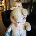 Ted Bear Photo 30