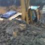 Daryl Jacobs Photo 17