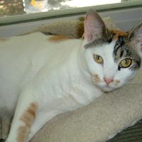 Susan Hunt Photo 32