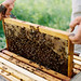 Bee Her Photo 20