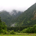 Misty Green Photo 12