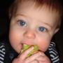 Karen Becker Photo 19