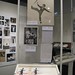 Fred Peck Photo 9