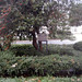 Vernon Lyons Photo 11