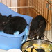 Wilbur Webster Photo 10