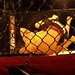James Barrera Photo 36