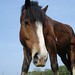 Danny Grimmer Photo 15