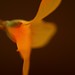 Tina Bloom Photo 33