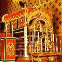 Anna Varghese Photo 12